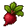Beet