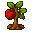 Apple Sapling