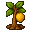 Lemon Sapling