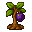 Plum Sapling