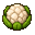 Cauliflower