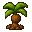 Coconut Sapling
