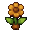 Loamflower