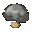 Stonecap